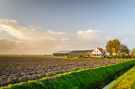 Farm Insurance