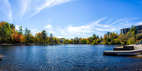 Ron Johnston Insurance Broker in Bracebridge