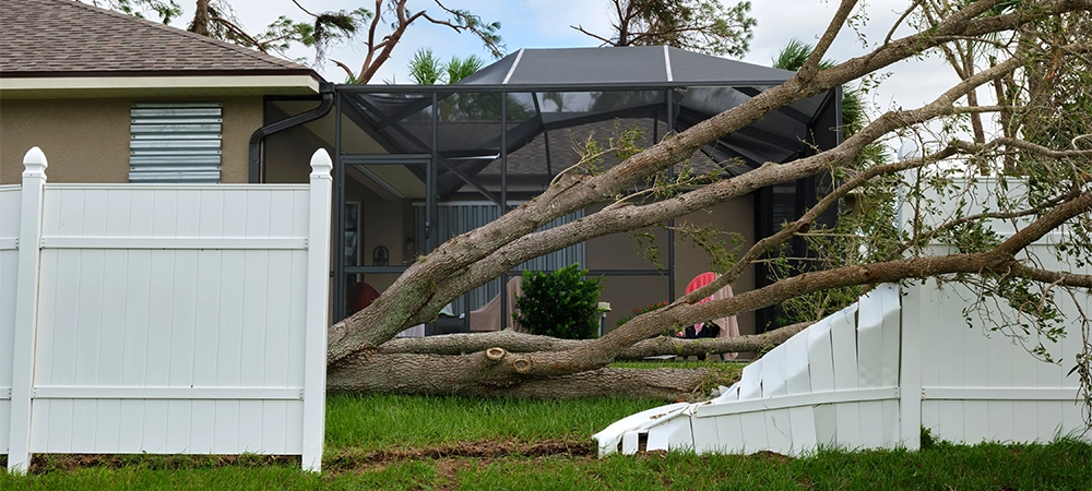 Fallen down big tree caused damage of yard fence after hurricane Ian in Florida. Consequences of natural disaster