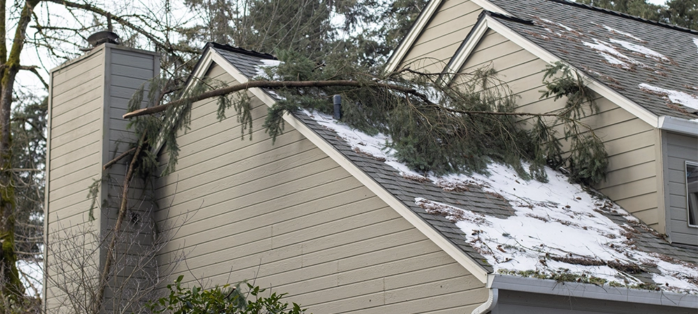 Fallen tree branches on the roof of a residential building after severe winter snow storm.
